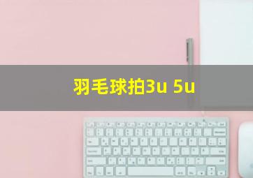 羽毛球拍3u 5u